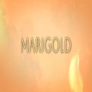 Marigold