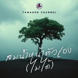 สมน้ำหน้าตัวเอง (ไม่ได้)