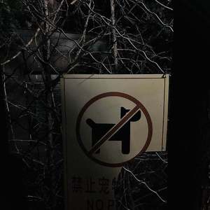 回到我的身边（Prod.by RoyalBoi）