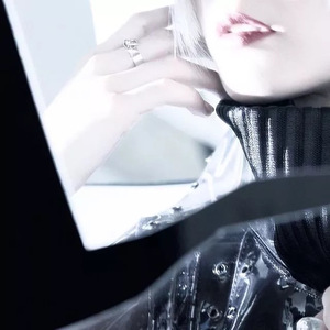 平面鏡（Cover Reol）