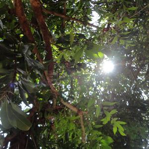 山顶的风