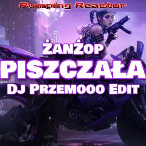 Piszczała (Radio Edit)