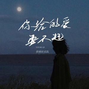 你给的爱要不起