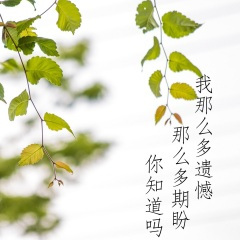 离开你100个星期 (纯享版)