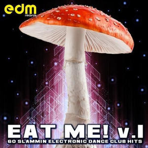 Roller Toaster (Original Mix)