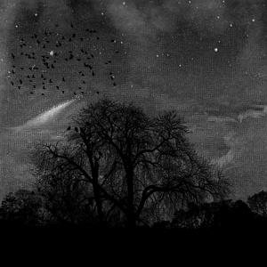 m.usic a.lleviates r.andoMly c.Aused h.eaRtaCHes