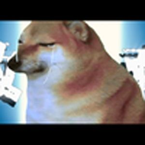 cheems学校的意义到底是什么