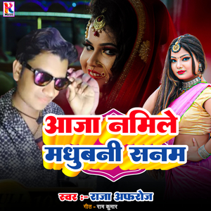 Aaja namile madhubani Sanam