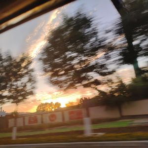 ”我们“