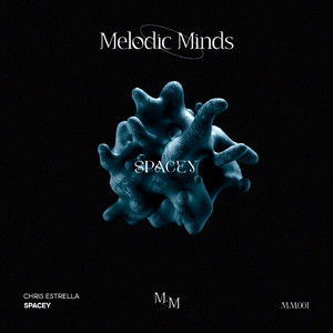 Spacey (Original Mix)