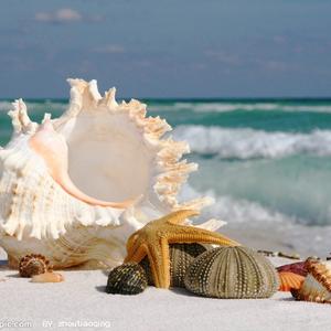 1_退潮之后_36705855675435013_1759936162366.wav