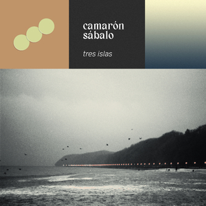 camarón sábalo