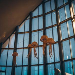 Not 106 days without a note