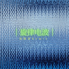 护花使者 (DJ版)