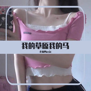 New Rules (抖音DJ版)