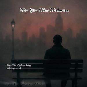 Bir Şiir Oku Dinlerim