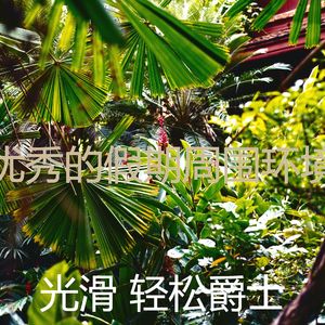 一尘不染周六印象数