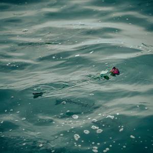 买辣椒也用券-起风了Countryman（+7 remix）