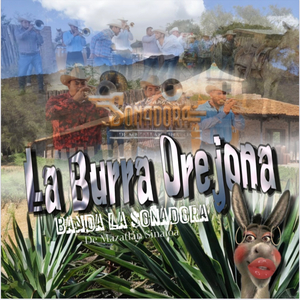 La Burra Orejona