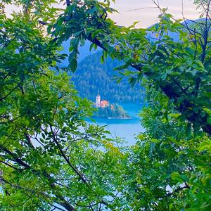 Everything you needed