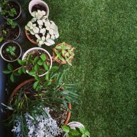 아버지가(아버지家)(Inst.)