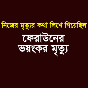 নিজের মৃত্যুর কথা লিখে গিয়েছিল ।ফেরাউনের ভয়ংকর মৃত্যু