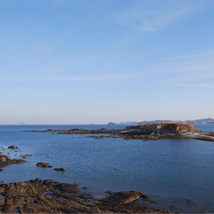 只爱你一人 (伴奏)