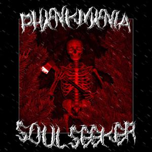 Soul Seeker