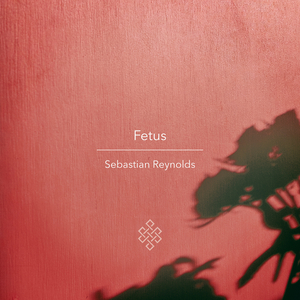 Fetus