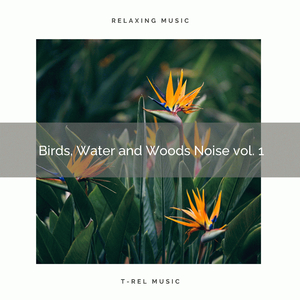 Trees with Clear Bird Calls pt. 1