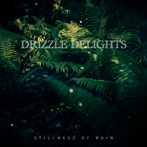 Light Rain on Garden Stones