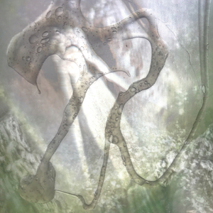 Don't You Recognize Me?