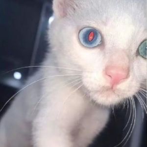 No Way(prod by MEGA)