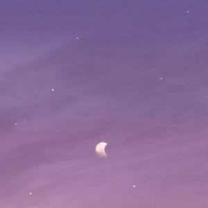 你啊你（cover叶斯淳）