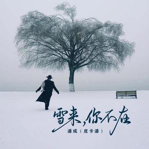 雪来，你不在