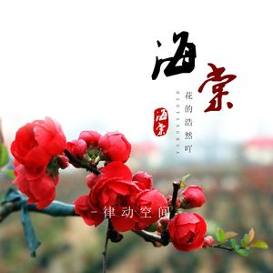 海棠花的浩然吖