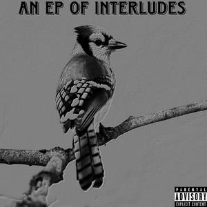 Dear Dimwitted Friend (Interlude)