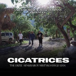 Cicatrices (feat. Mistyko, The Dizel & Efege Uan)