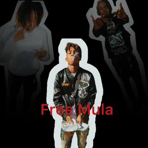 FreeMula