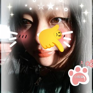 《可爱的猫咪》