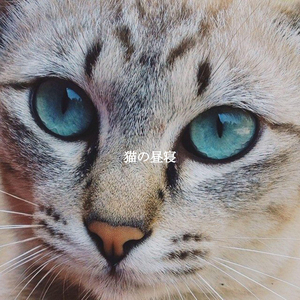 Awesome Tenor Saxophone Solo - Vibe for Dining with Co Workers