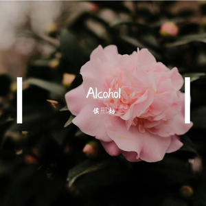 《等温线》