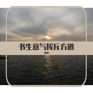 书生意气挥斥方遒