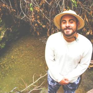 Dorrington (Acoustic)