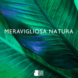 Rilassamento mattutino nella foresta