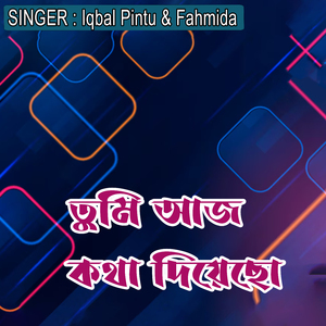 তুমি আজ কথা দিয়েছো