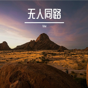 无人同路