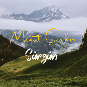 Sürgün