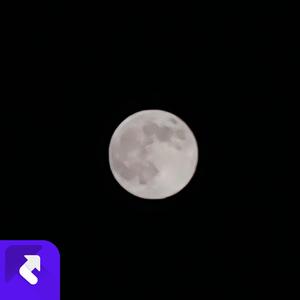 OneMoreRound (现场)