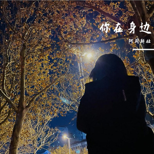 你在身边 伴奏